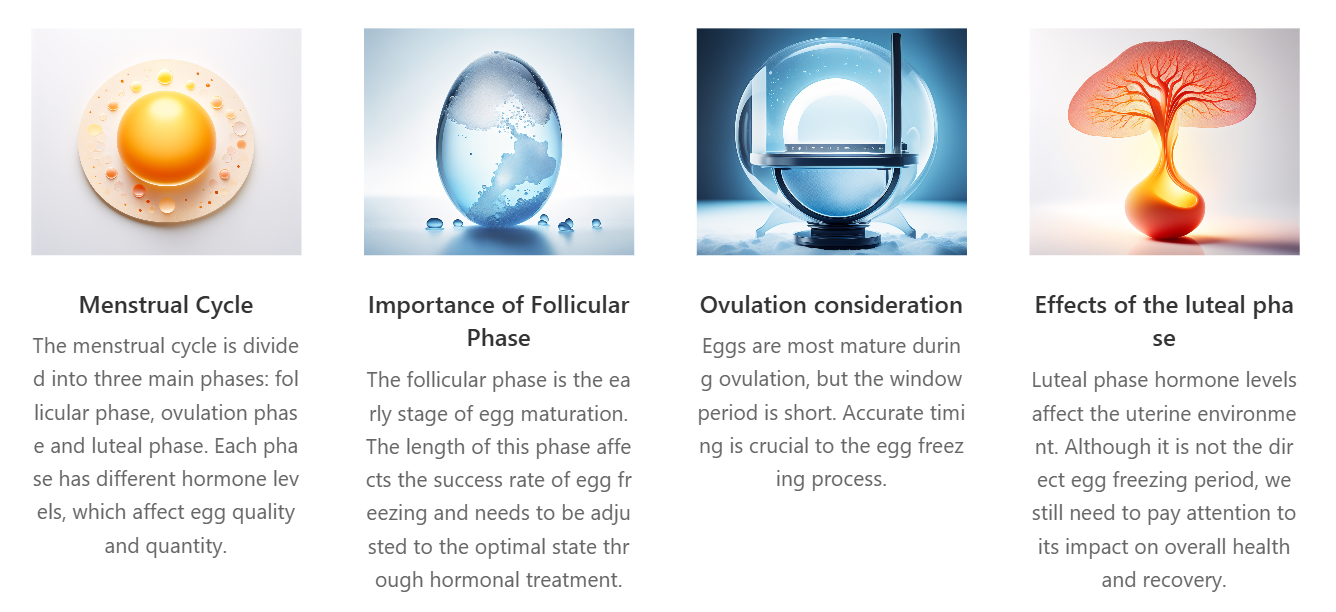 30ebc8e74d35f2ef9bd714cd79368fc.png