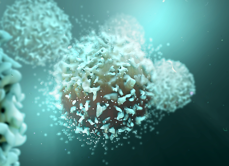 Uncovering the “defense battle” of immune cells